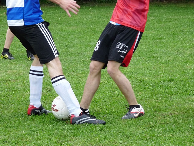 但真正能走 但真正能走