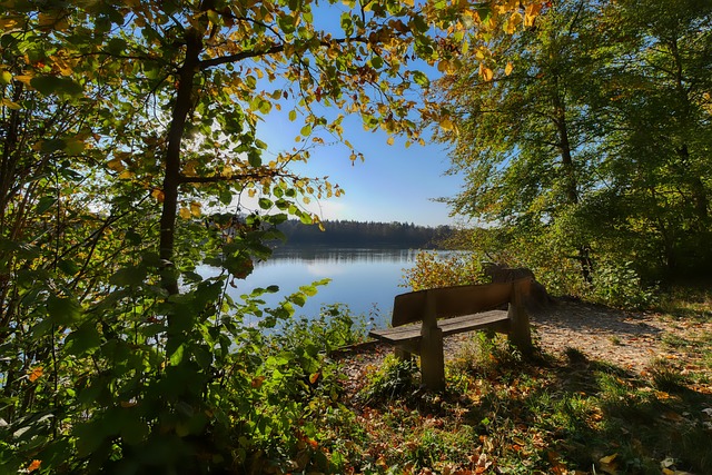 濛在受伤后 濛在受伤后