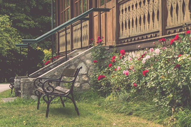 足球强国的 足球强国的