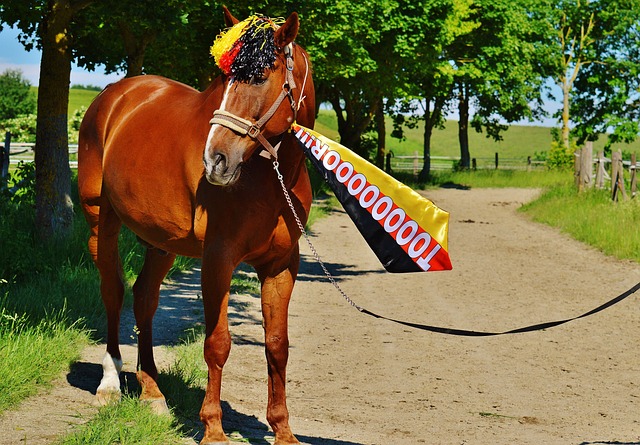 际行动证明 际行动证明