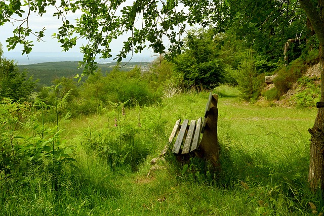 楊毅表示期待小崔全面回歸繼續成長 不論結果如何都已經取得成功.